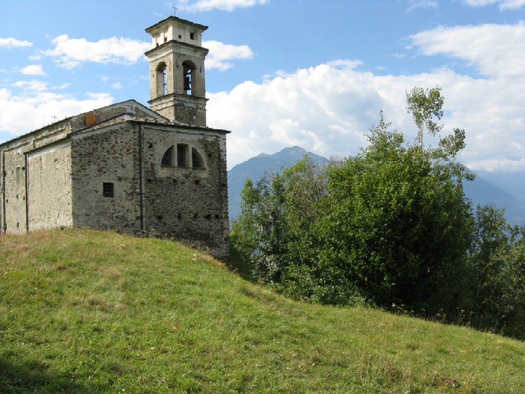 Ortotteri delle Orobie valtellinesi (Sondrio)